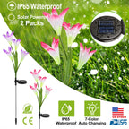decorative solar lawn lights